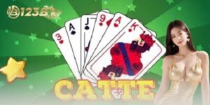 Catte 123B