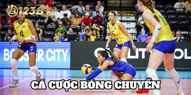 Chiến lược Cá Cược Bóng Chuyền hiệu quả
