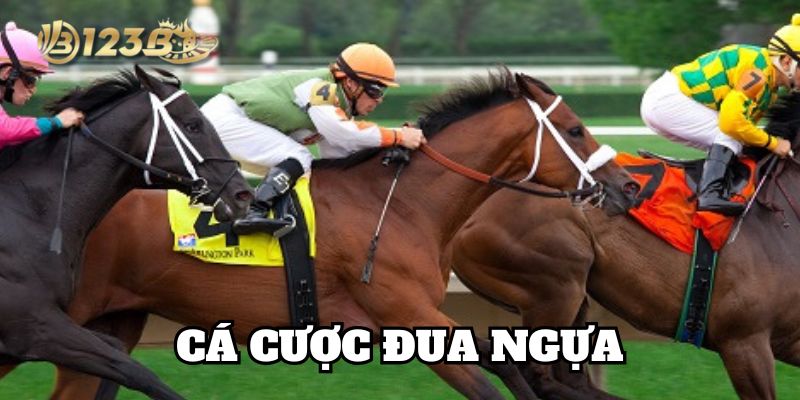 Chiến thuật Cá Cược Đua Ngựa hiệu quả