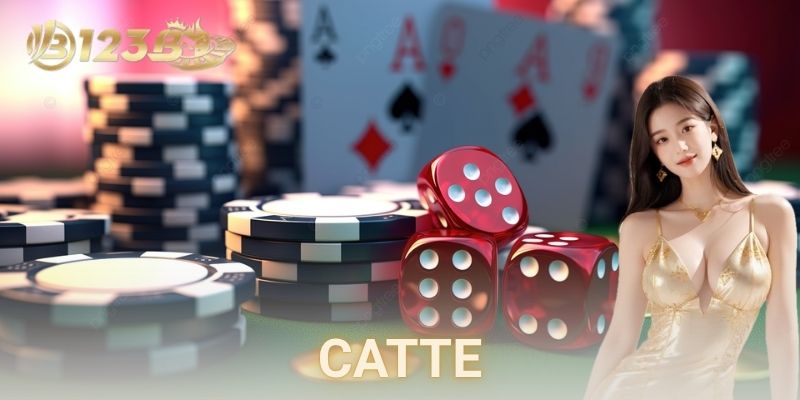  Hướng dẫn cách chơi Catte qua ví dụ thực tế