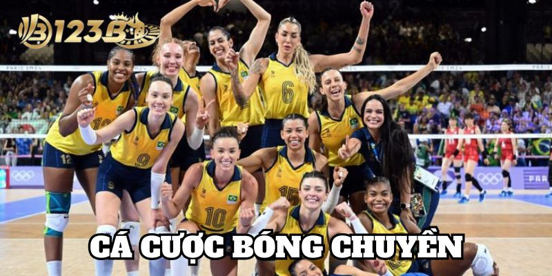 Kèo Tài Xỉu trong Cá Cược Bóng Chuyền